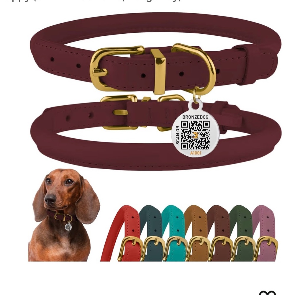 XS Rolled Leather Dog Collar